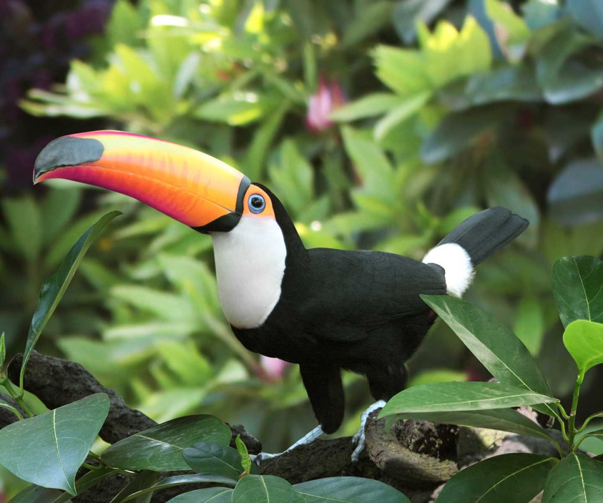 Ten years on: from Paris to the Amazon - the decade that defined decarbonisation