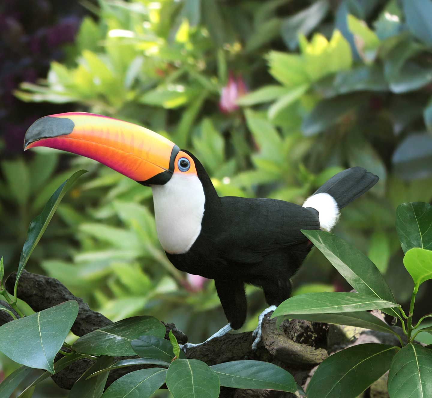 Ten years on: from Paris to the Amazon - the decade that defined decarbonisation