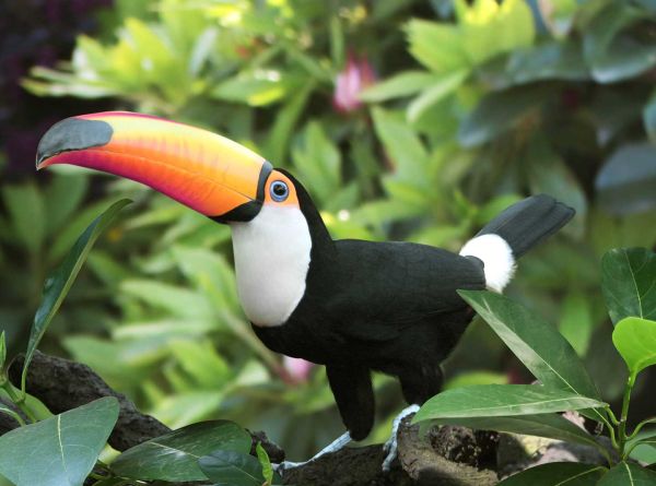 Ten years on: from Paris to the Amazon - the decade that defined decarbonisation