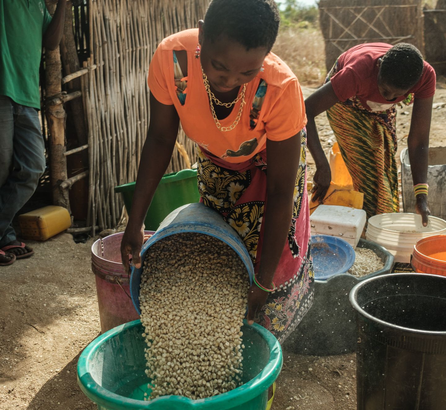 Five things companies need to know about REDD+ projects