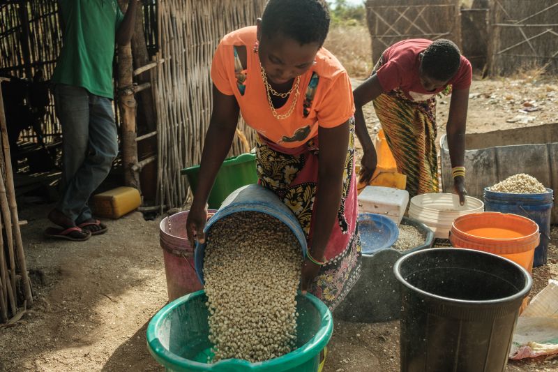 Five things companies need to know about REDD+ projects