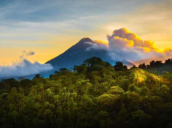 Fragmented decarbonisation efforts