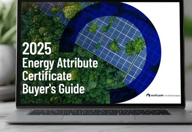 The 2025-2026 Energy Attribute Certificate Buyer&rsquo;s Guide