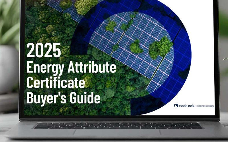 The 2025 Energy Attribute Certificate Buyer’s Guide