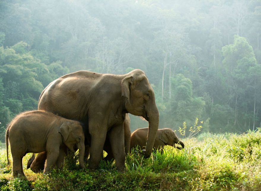 Find and fund a world of impact projects