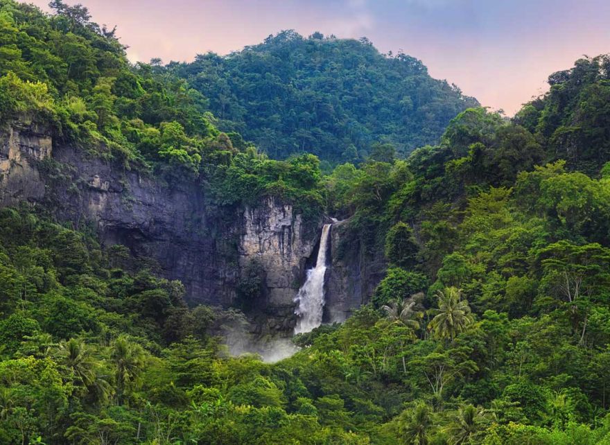 Vivamus pharetra maximus fringilla