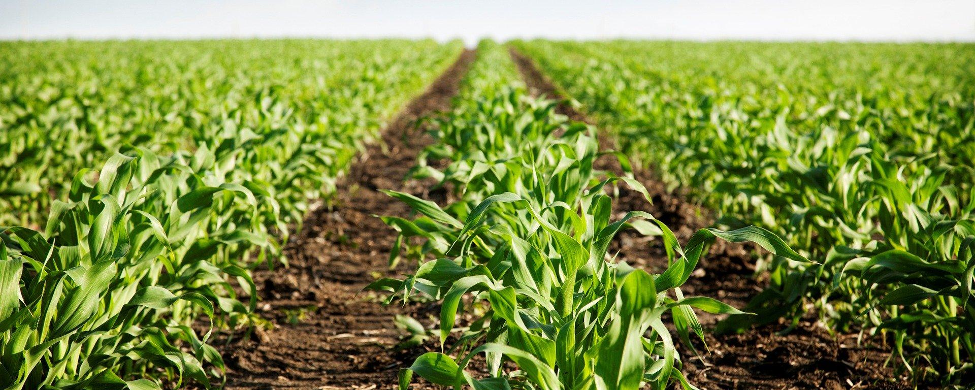 South Pole Signals Scaling of European Soil Carbon Market with eAgronom €1.46M Issuance