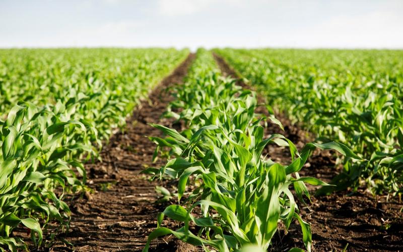 South Pole Signals Scaling of European Soil Carbon Market with eAgronom €1.46M Issuance