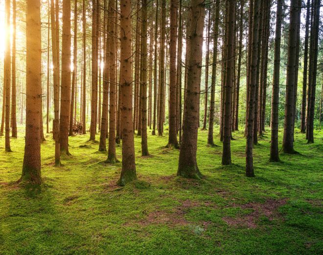 Stay in touch with us