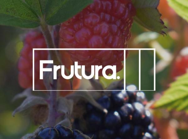 Measuring greenhouse gas emissions across geographies for Frutura