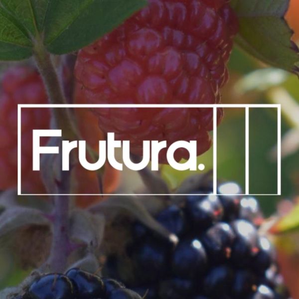 Measuring greenhouse gas emissions across geographies for Frutura