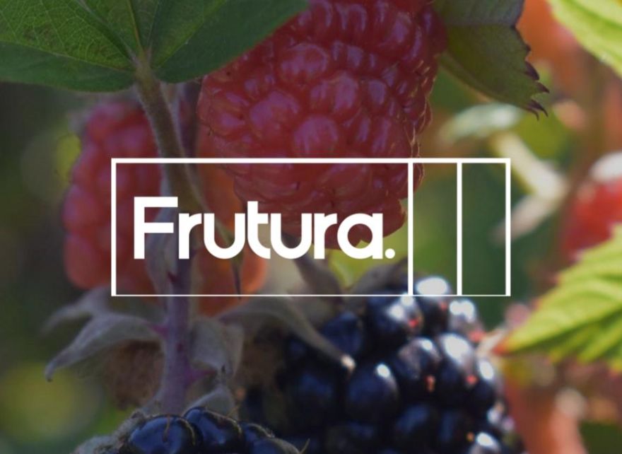 Measuring greenhouse gas emissions across geographies for Frutura