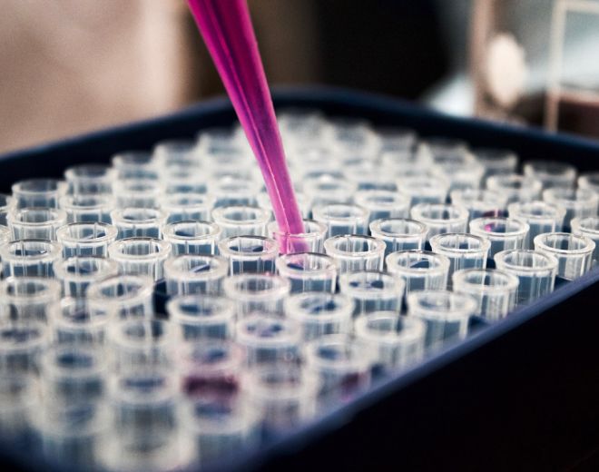 How can your organisation increase its climate ambition?