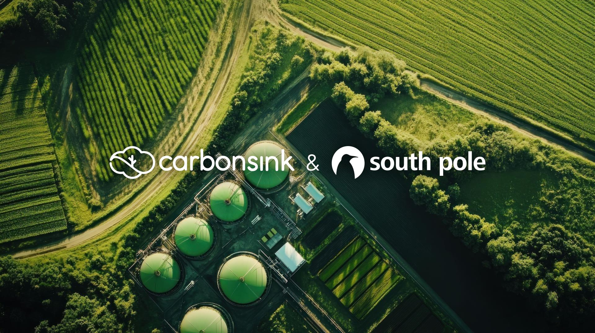 hero-carbonsink-v2.jpg