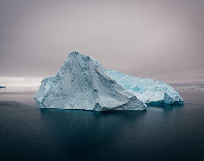 New Report: Claiming your business is climate neutral: the top four priorities