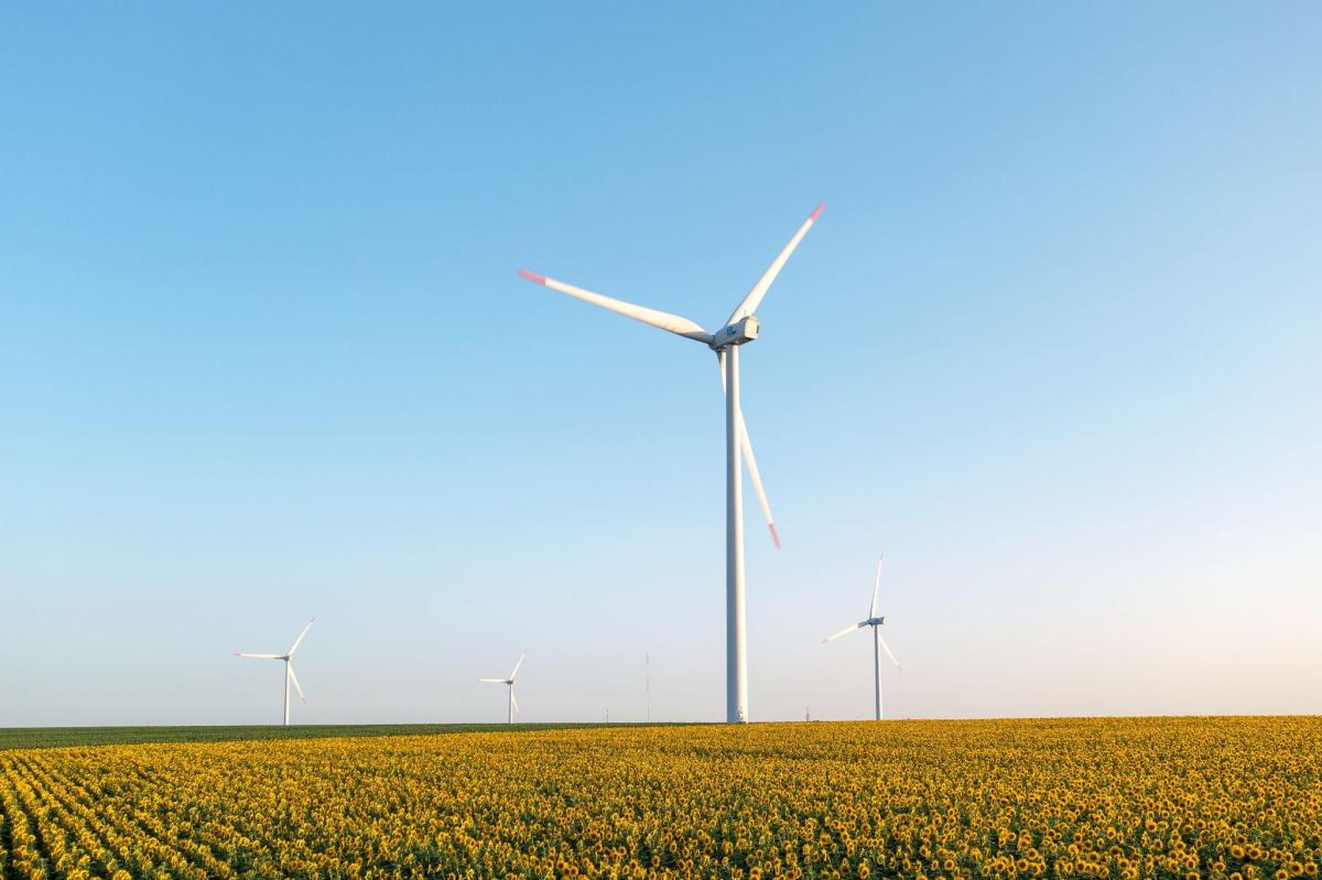 Define your renewable energy strategy