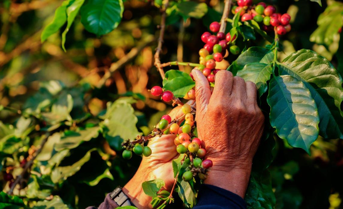 Deliver reductions across your supply chain
