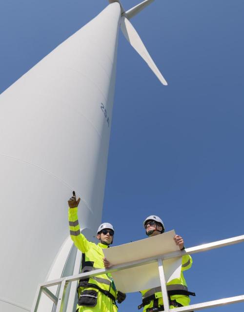 Carbon Credits &amp; Net Zero Strategy