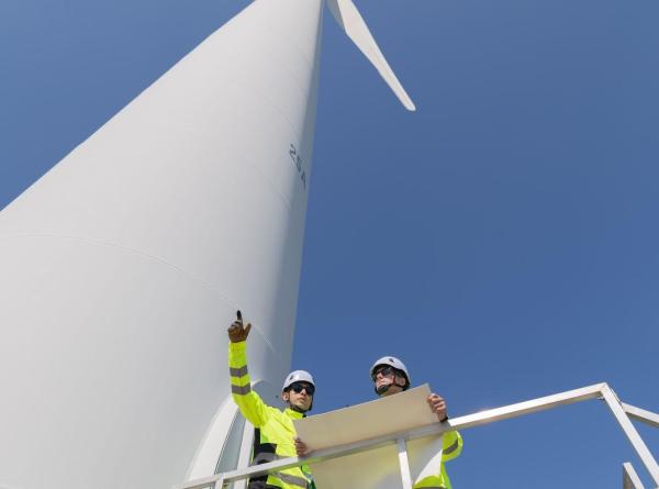 Carbon Credits & Net Zero Strategy