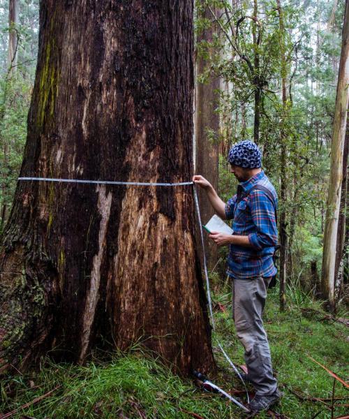 Many carbon projects fail before they reach the market