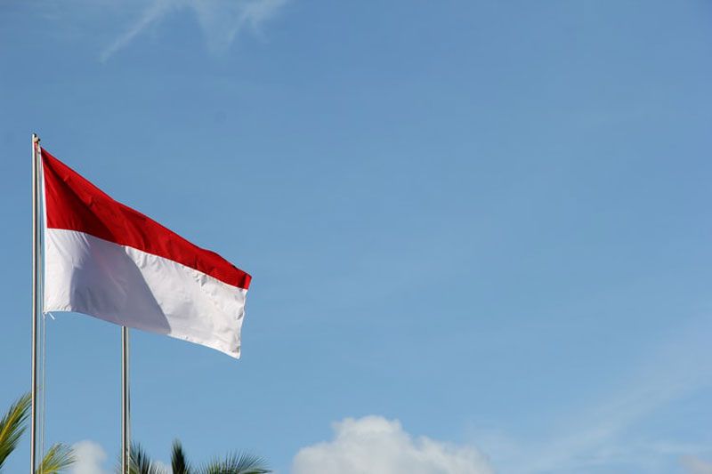 Renewable Energy Indonesia