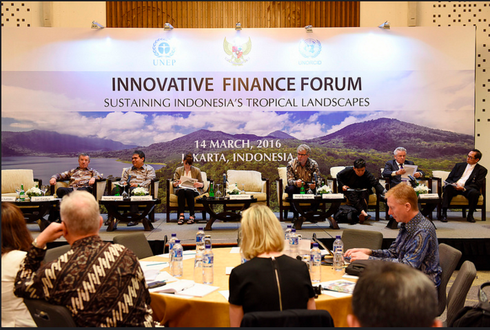Outcomes of the Innovative Finance Forum (IFF): Sustaining Indonesia's Tropical Landscapes