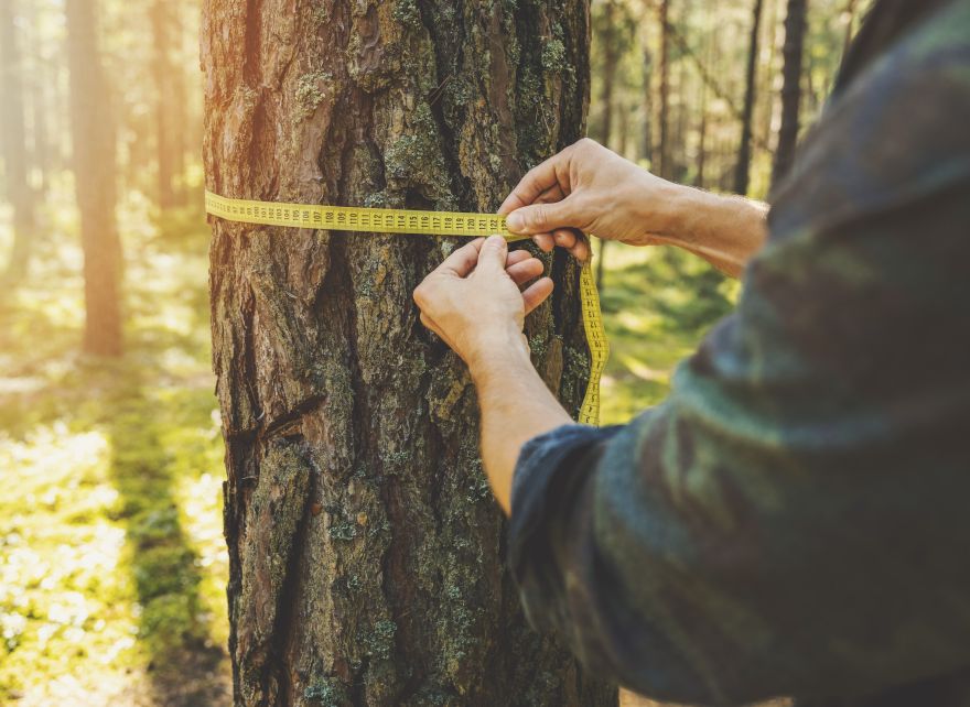 Our approach is informed by our extensive on-the-ground experience