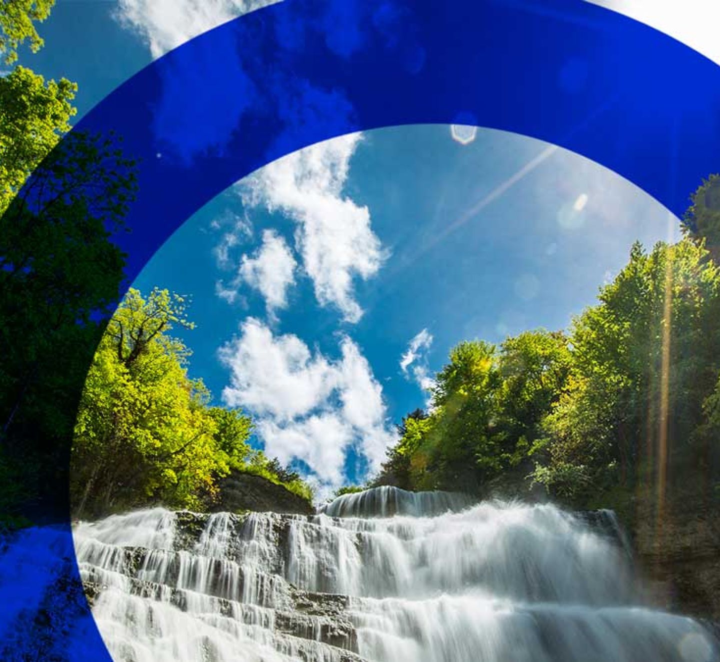 Beyond the tonne: Understanding different carbon project types and what to consider when selecting carbon credits