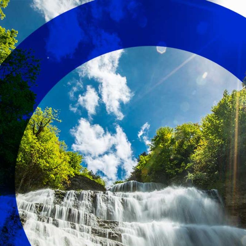 Beyond the tonne: Understanding different carbon project types and what to consider when selecting carbon credits