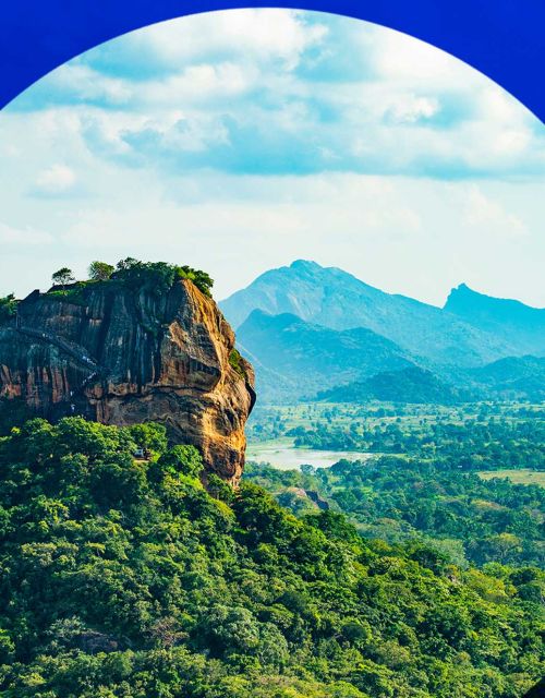 The evolving definition of integrity in the carbon market