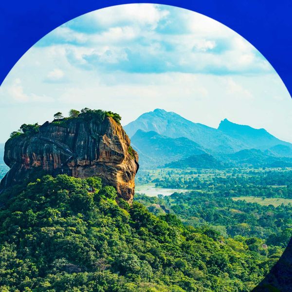 Ready to elevate your renewable energy strategy?