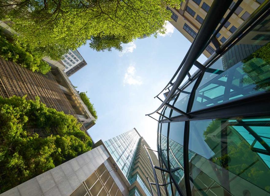 Regulators: fostering stability and transparency