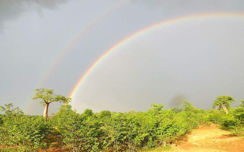 kariba-10-year-rainbow.jpeg