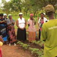 Turning Kariba green: conservation farming at the forest protection project