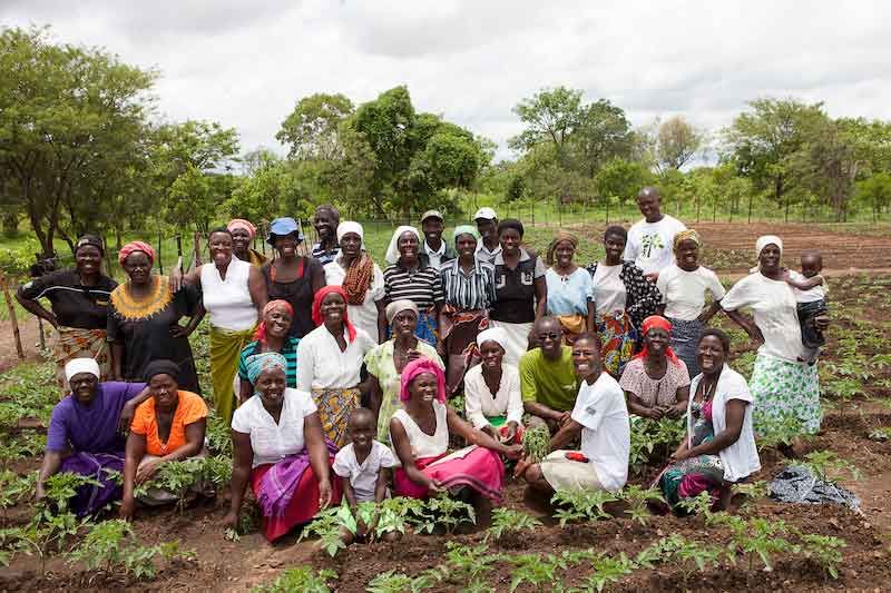 The community members in Hurungwe take pride in their work around their Nutritional Garden (Tashinga)