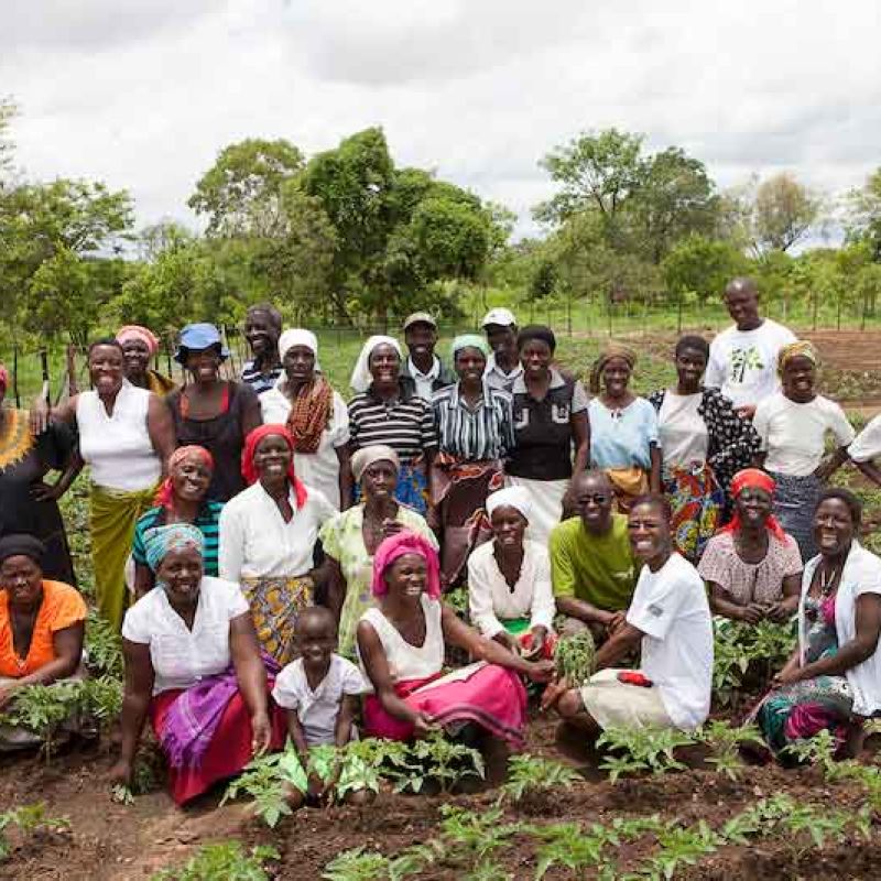 The community members in Hurungwe take pride in their work around their Nutritional Garden (Tashinga)