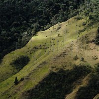 Climate talks: Looking ahead for Latin America - Mauricio Mira Ponton on carbon market paradigm shifts and “sparking the fire“ of climate action
