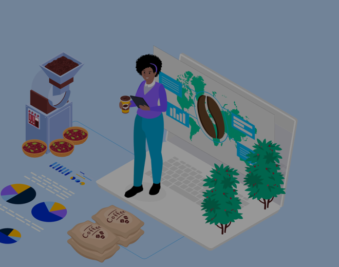 Navigating the new Land Sector and Removals Standard: An unreal, yet practical, case study