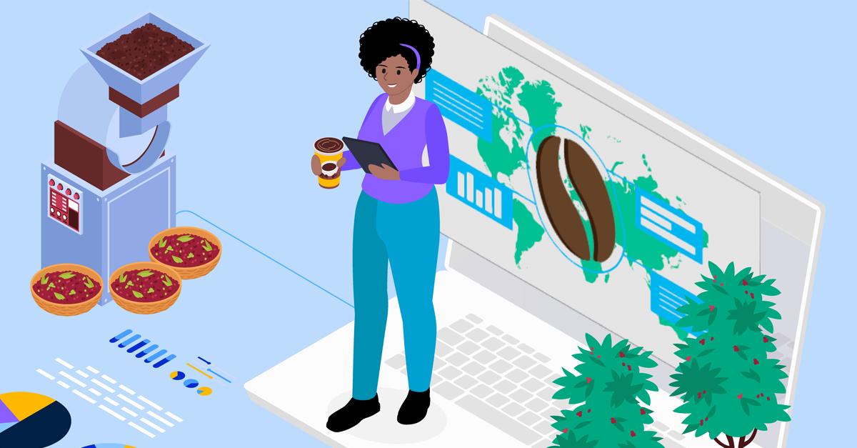 Navigating the new Land Sector and Removals Standard: An unreal, yet practical, case study