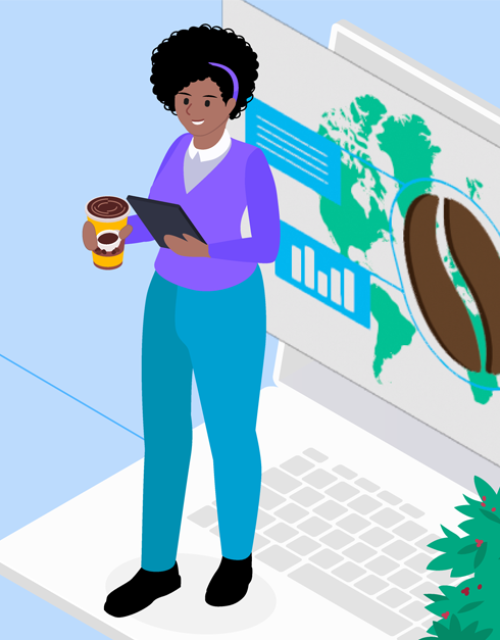 Navigating the new Land Sector and Removals Standard: An unreal, yet practical, case study