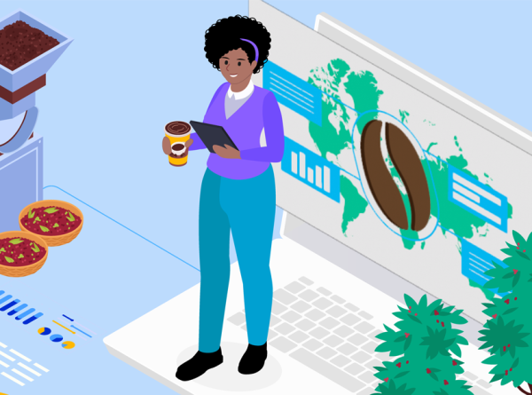 Navigating the new Land Sector and Removals Standard: An unreal, yet practical, case study