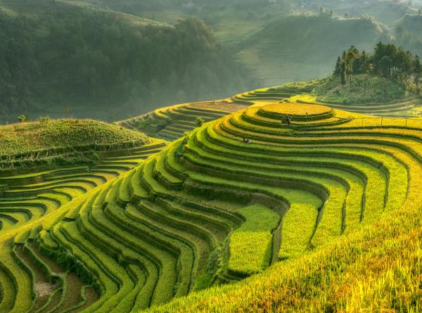 GHG Protocol Land Sector and Removals Standard: Top questions answered