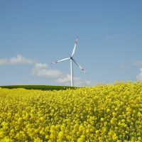 Cinco razones para invertir en energías renovables