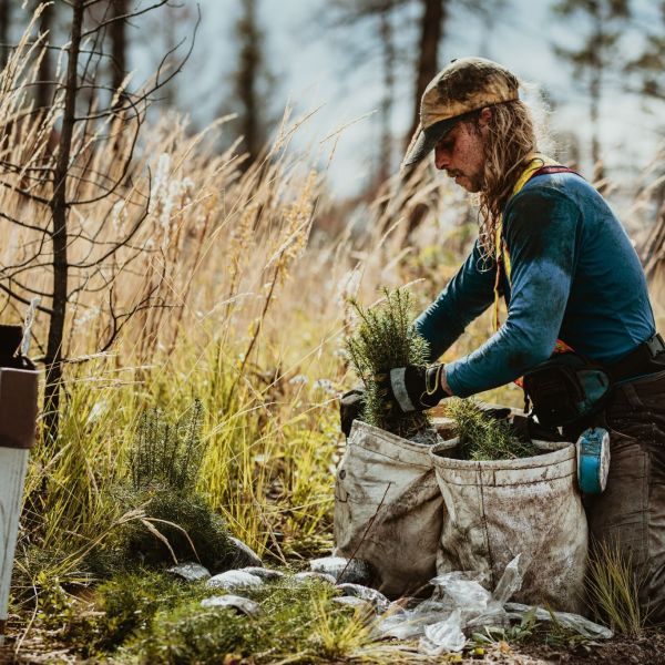 Ready to navigate the future of carbon markets with confidence?