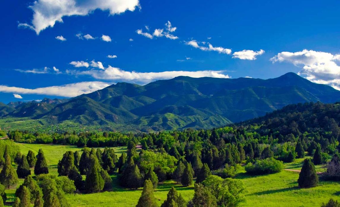 Net Zero Carbon Market