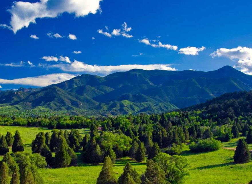 Demand: Net zero targets guide carbon credit buying strategies