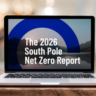 2026 Carbon Market Buyer&rsquo;s Guide