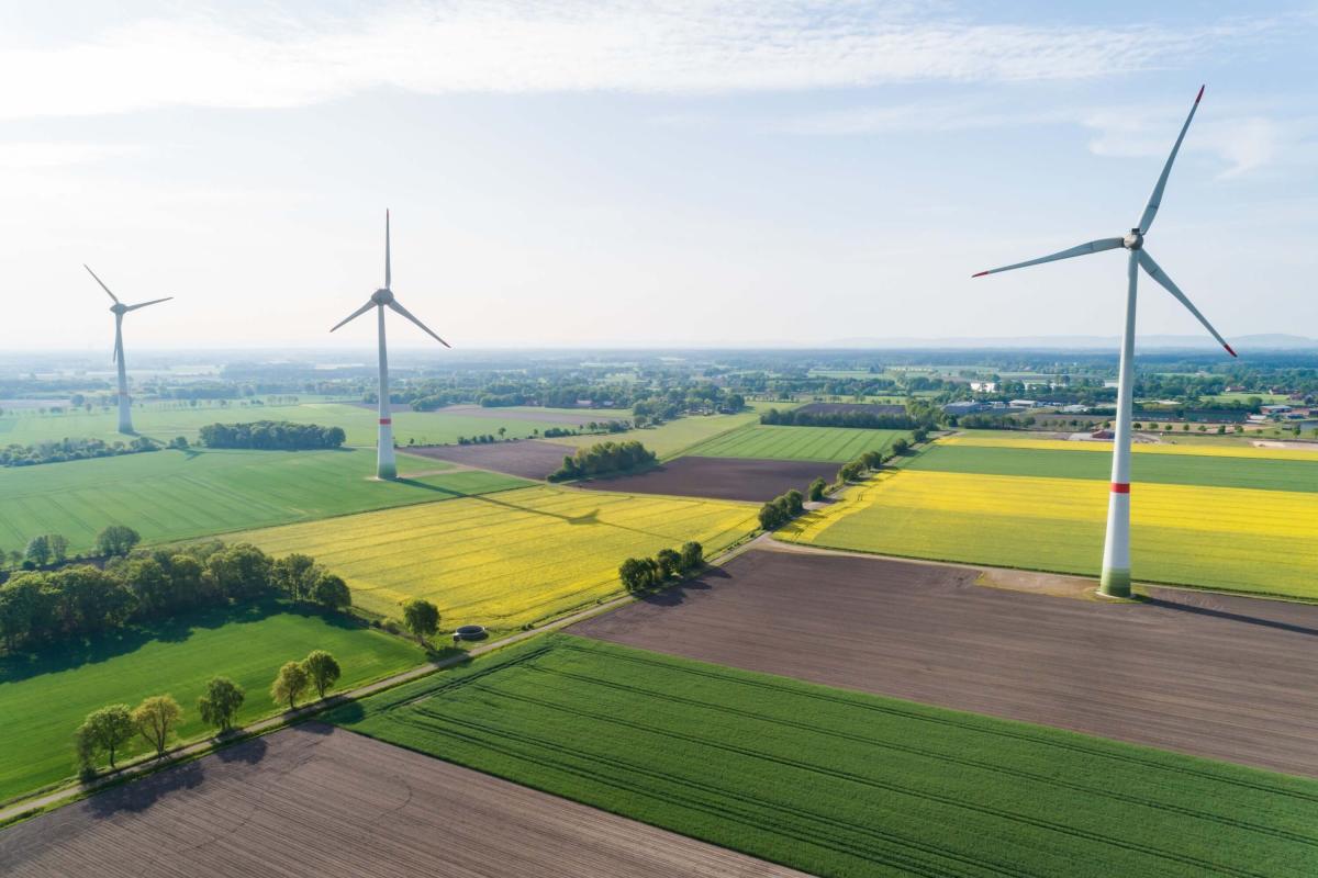 Transform your carbon asset into a certified carbon project