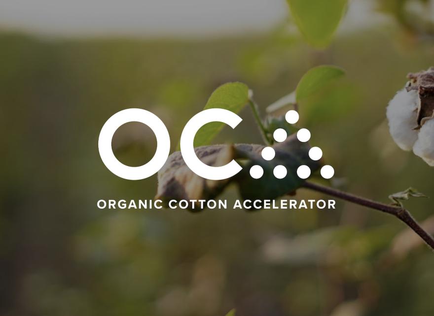 Supporting sustainable fashion by assessing the environmental impacts of cotton farming in India wit
