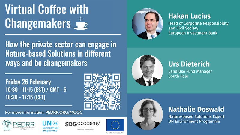 Virtual Coffee with Changemakers - Private Sector Insights